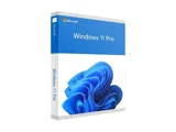 Phần mềm Microsoft Windows Pro 11 64Bit Eng Intl 1pk DSP OEI DVD (FQC-10528)	PMWD0065