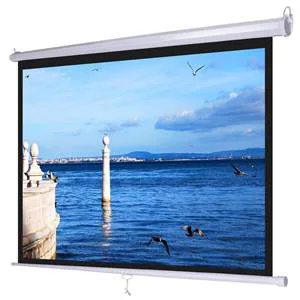 Màn chiếu treo 60" x 60"