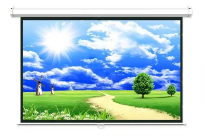 Màn chiếu treo tường 96"x96" (2m44 x 2m44) 