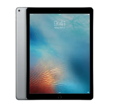 Apple iPad pro 12.9inch wifi + 4G 256Gb Gray