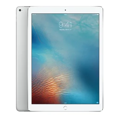 Apple iPad pro 12.9inch wifi + 4G 256Gb Silver