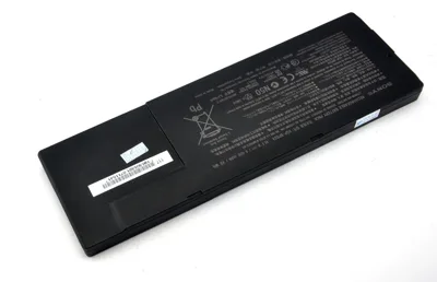 Pin Sony BPS24 Zin