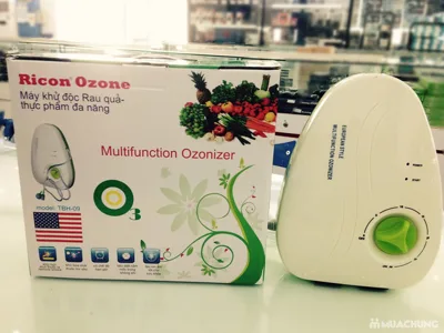 Máy Ozone khử độc thực phẩm đa năng TBH-09
