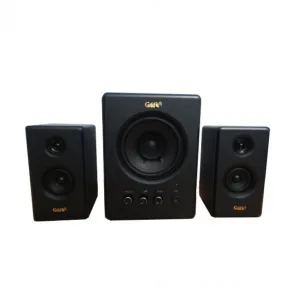 Loa máy tính Goldsound G6100