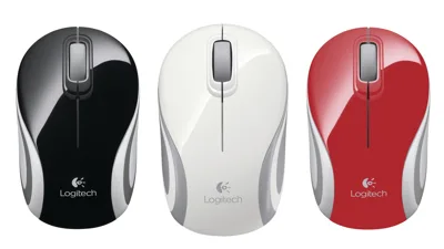 Chuột không dây logitech m187