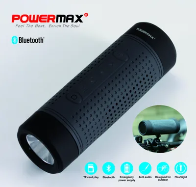 Loa Bluetooth Powermax PS-127BP 
