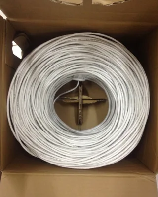 Dây mạng AMP Hãng Cat5 (m)