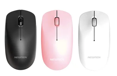 Mouse Newmen Wireless F007