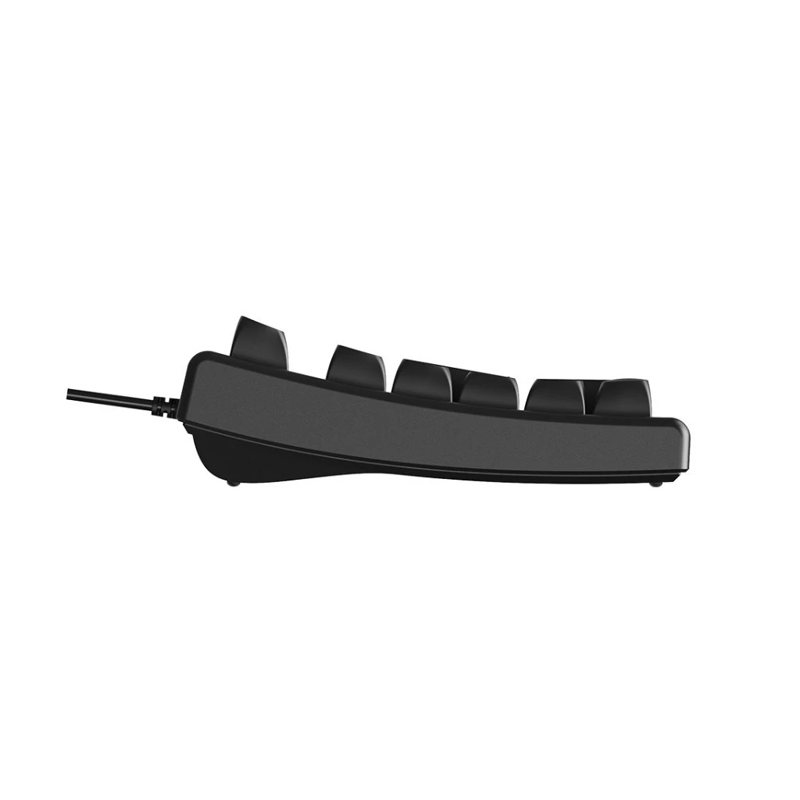 Keyboard PC Rapoo NK2800 giả cơ