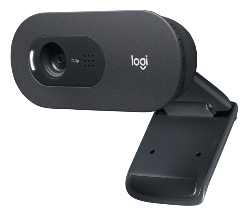 Webcam Logitech C505 HD 720p/30fps