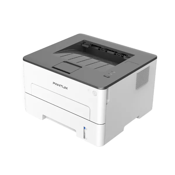 Máy in Laser Pantum P3010D