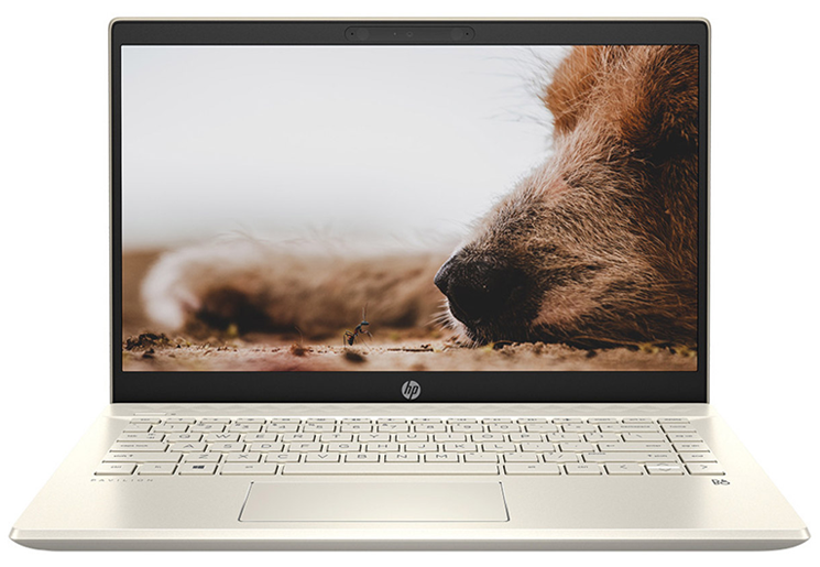 Laptop SE  HP Pavilion 14-dv0534TU,Core i7-1165G7,8GB RAM,512GB SSD,Intel Iris Xe Graphics,14"FHDIPS,Webcam,3 Cell,