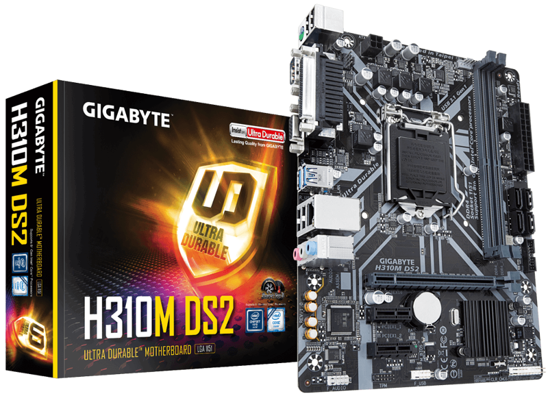 Mainboard Gigabyte H310M-DS2