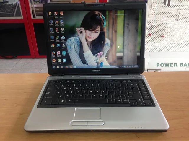 Laptop SE  Toshiba L310 ( T3200/2GB/250GB/14.0)