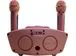 Loa Karaoke SD306