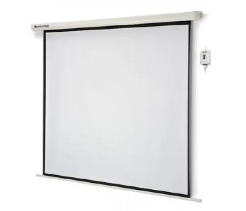 Màn chiếu điện 120" (2m65 x 1m50 )