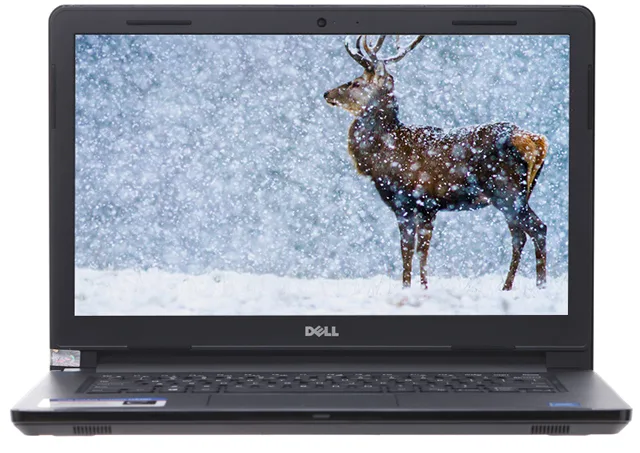 Laptop Dell INS 3462- Intel Pentium Quad-Core N4200 up to 2.5GHz,4GB DDR3L 1600Ghz, 500GB 14.0 HD, DVDRW, 1.77kg , Dos