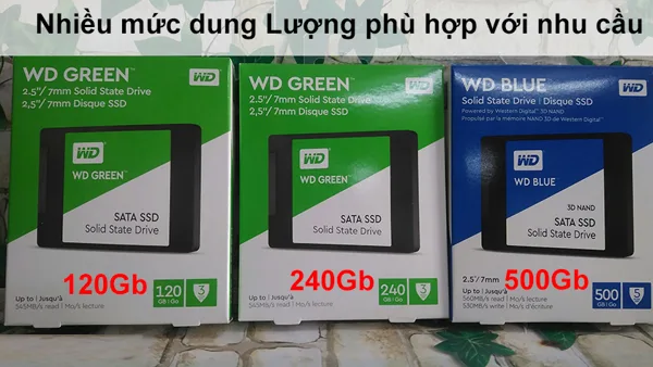 Thay Ổ cứng SSD Western Green 240 GB SATA 2.5 inch uy tín, chất lượng