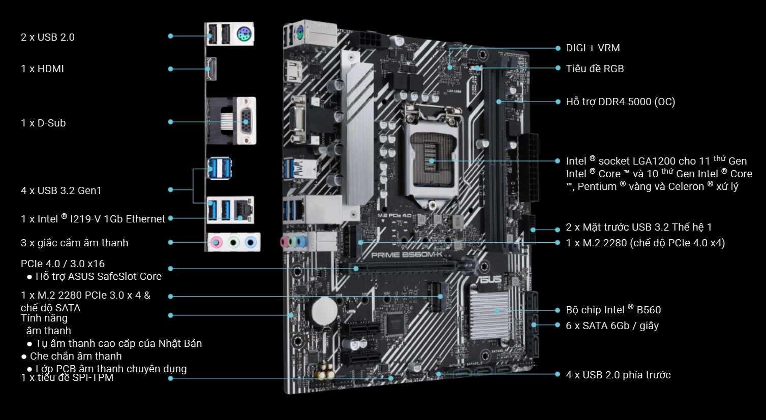 Mainboard Asus Prime B560M-K/CSM uy tín, chất lượng tại Sơn Đạt.,JSC