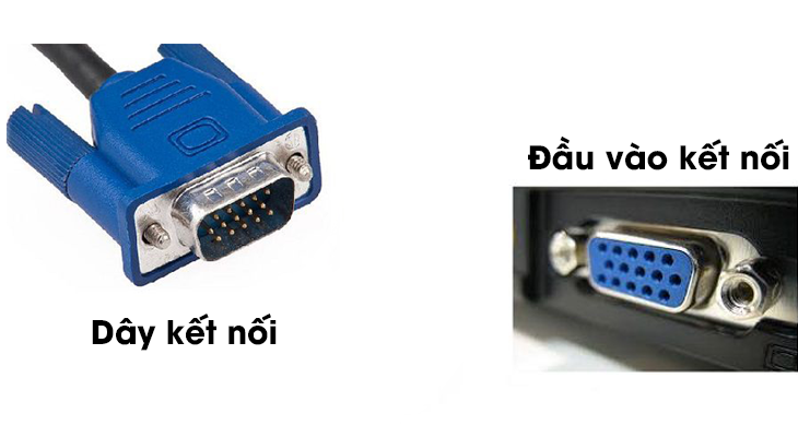 Cắm một đầu dây cáp vào cổng VGA in trên máy chiếu (thường là màu xanh)