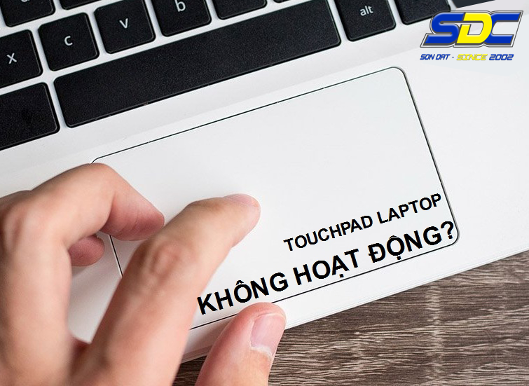 Những lỗi touchpad hay gặp và cách xử lý nhanh chóng, hiệu quả bạn nên biết!