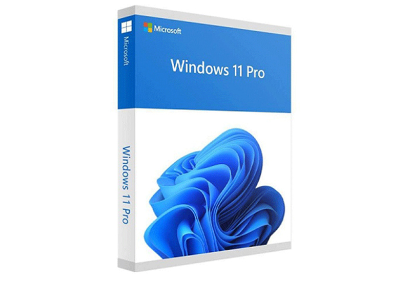 Phần mềm Windows 11 Pro 64-bit All Lng PK Lic Online DwnLd NR FQC-10572.