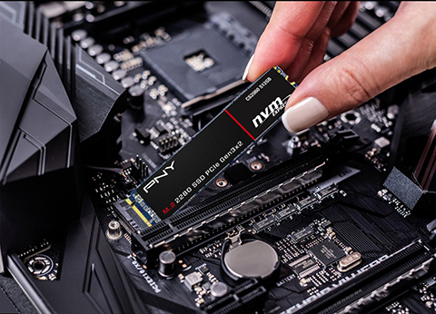 o-cung-ssd-m2-pcie-256gb-pny-cs2060-nvme\