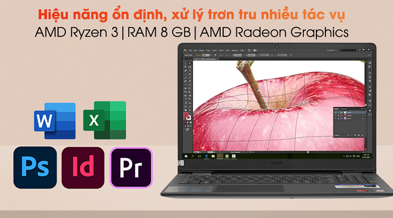 Notebook Dell Inspiron 3505 Y1N1T1 chính hãng, giá rẻ Hải Phòng