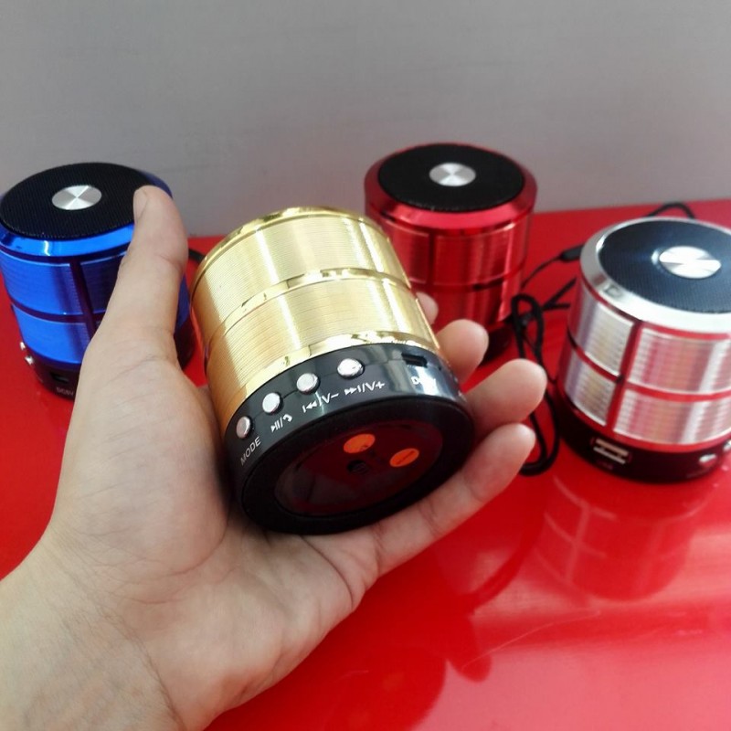 Loa Bluetooth WS 887
