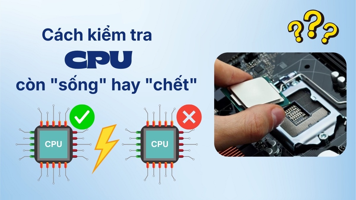 Cách Kiểm Tra CPU Còn “Sống” Hay “Chết”: Hướng Dẫn Xác Định Chính Xác