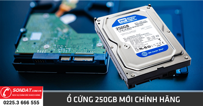 Mua ổ cứng 250gb mới chính hãng tại Hải Phòng - Sơn Đạt Computer