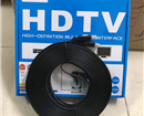 Cáp HDMI Fortech 20m